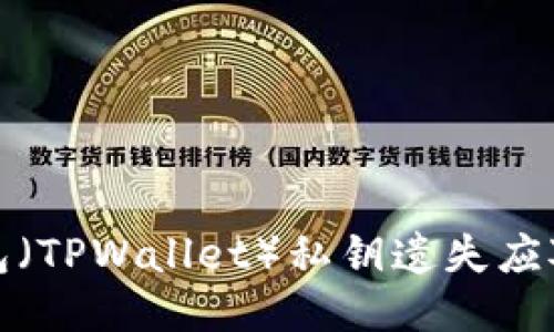 TP钱包（TPWallet）私钥遗失应对方案