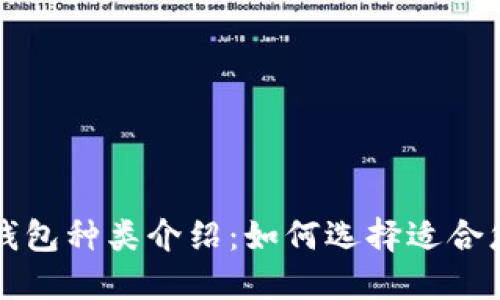 比特币钱包种类介绍：如何选择适合您的钱包