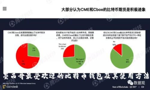 墨西哥最受欢迎的比特币钱包及其使用方法