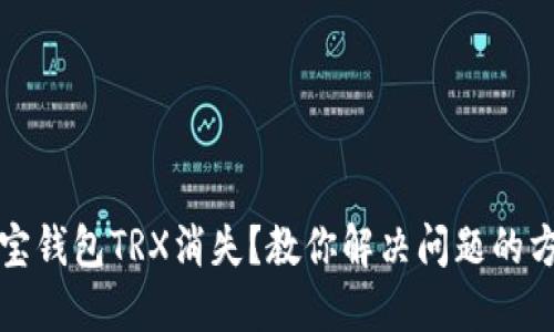 波宝钱包TRX消失？教你解决问题的方法