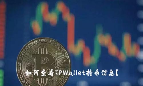 如何查看TPWallet持币信息？