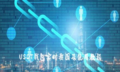 USDT钱包实时截图及使用教程