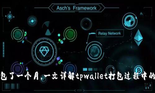 tpwallet打包了一个月，一文详解tpwallet打包过程中的技术和困难