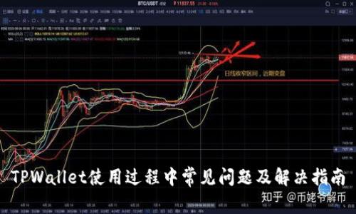 TPWallet使用过程中常见问题及解决指南