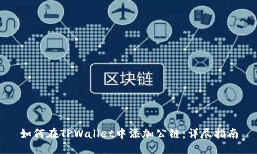 如何在TPWallet中添加公链：详尽指南