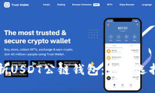 全面解析USDT公链钱包：如何选择与使用