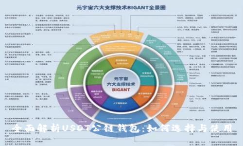 全面解析USDT公链钱包：如何选择与使用