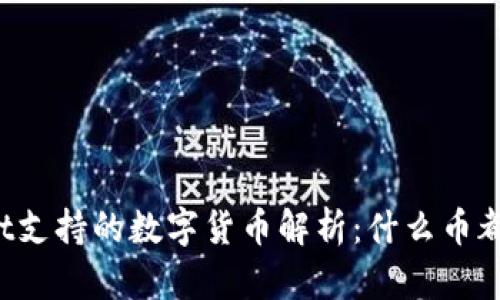 TPWallet支持的数字货币解析：什么币都能存吗？