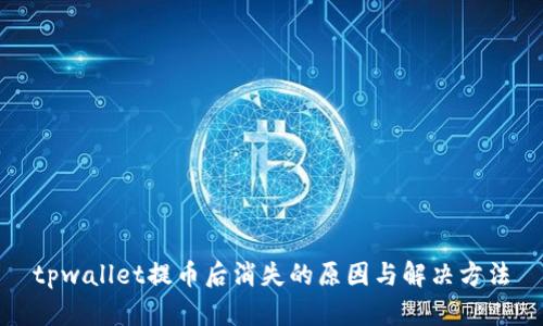 tpwallet提币后消失的原因与解决方法