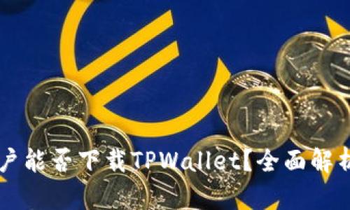 苹果用户能否下载TPWallet？全面解析与指南