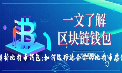 全面解析比特币钱包：如何选择适合你的比特币存储方案