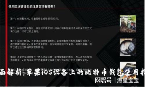 全面解析：苹果iOS设备上的比特币钱包使用指南