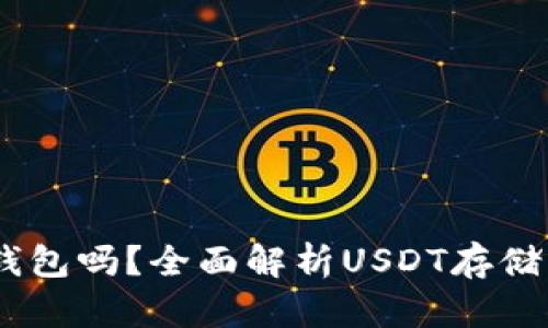 USDT能存钱包吗？全面解析USDT存储与使用指南