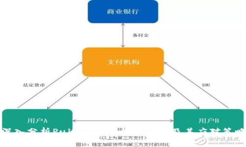 深入分析Puls Token钱包骗局及其应对策略