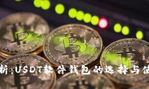 全面解析：USDT软件钱包的选择与使用指南