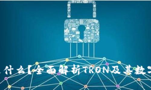 TRX钱包是什么？全面解析TRON及其数字资产管理