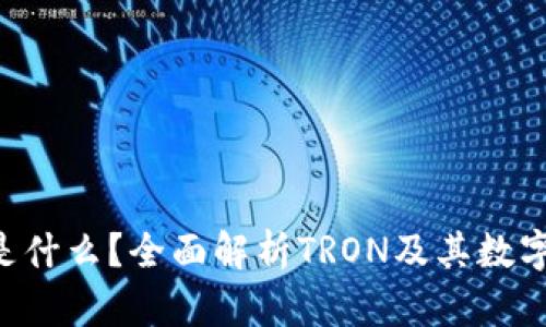 TRX钱包是什么？全面解析TRON及其数字资产管理