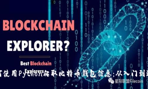 如何使用Python爬取比特币钱包信息：从入门到进阶