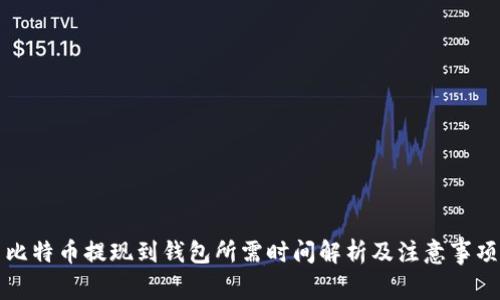 比特币提现到钱包所需时间解析及注意事项