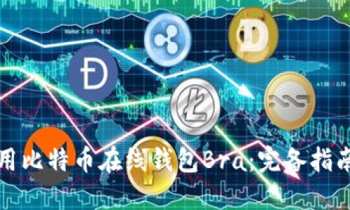 如何安全使用比特币在线钱包Bra:完备指南与实用技巧