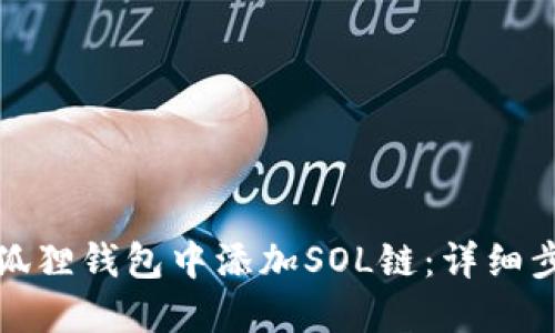 如何在小狐狸钱包中添加SOL链：详细步骤与技巧