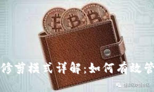 比特币钱包修剪模式详解：如何有效管理存储空间