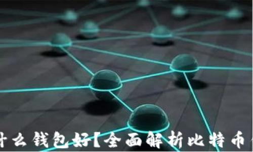 
存比特币用什么钱包好？全面解析比特币钱包选择指南