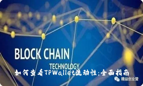 如何查看TPWallet流动性:全面指南