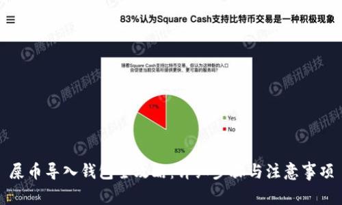 屎币导入钱包全攻略：详细步骤与注意事项