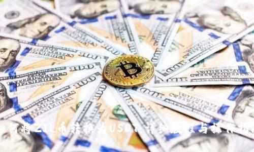 如何将ZIL币转换为USDT：详细教程与操作指南