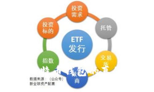 如何鉴别比特币钱包的真假：全面指南