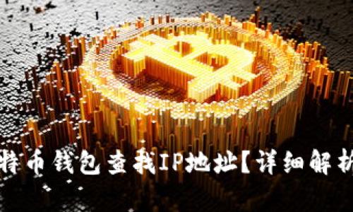 如何通过比特币钱包查找IP地址？详细解析与实用技巧