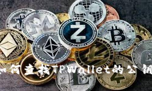 如何查找TPWallet的公钥？