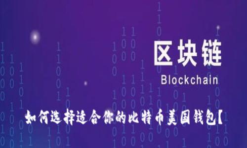 如何选择适合你的比特币美国钱包？