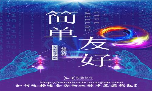 如何选择适合你的比特币美国钱包？