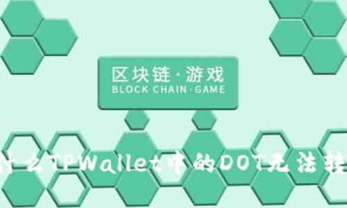 为什么TPWallet中的DOT无法转出？