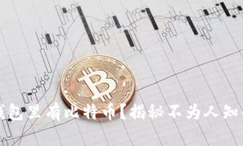 什么钱包里有比特币?揭秘不为人知的真相!