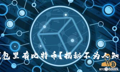 什么钱包里有比特币?揭秘不为人知的真相!