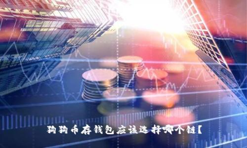 狗狗币存钱包应该选择哪个链?