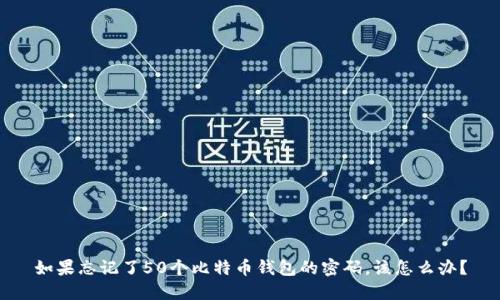如果忘记了50个比特币钱包的密码，该怎么办？
