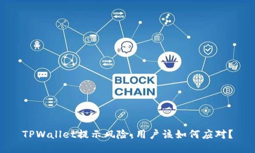 TPWallet提示风险,用户该如何应对?