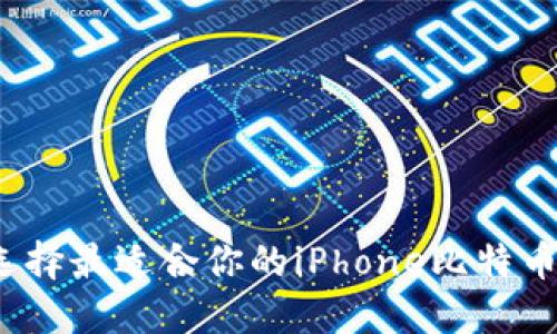如何选择最适合你的iPhone比特币钱包?