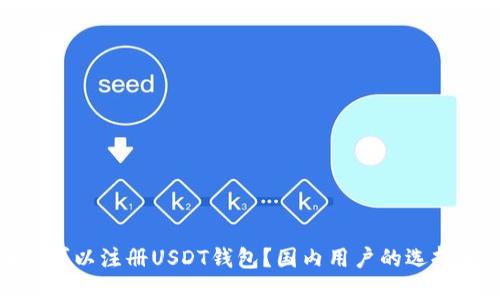 在哪里可以注册USDT钱包？国内用户的选择与建议