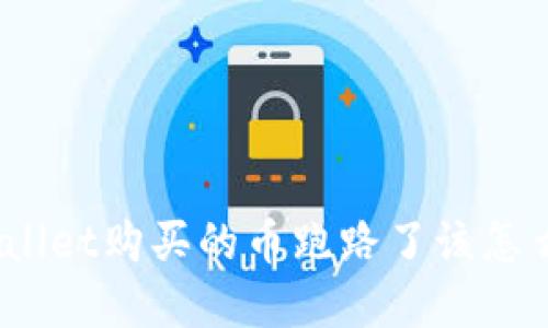 tpwallet购买的币跑路了该怎么办？
