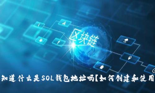你知道什么是SOL钱包地址吗?如何创建和使用它?