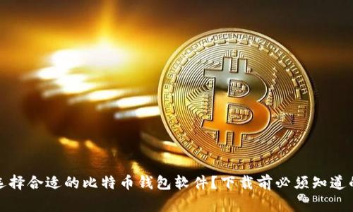 如何选择合适的比特币钱包软件？下载前必须知道的事项