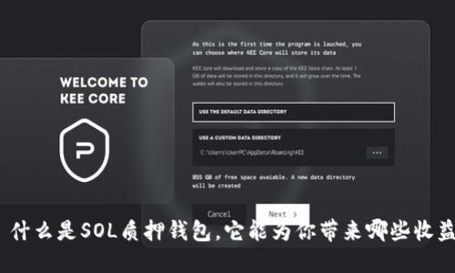 : 什么是SOL质押钱包,它能为你带来哪些收益?