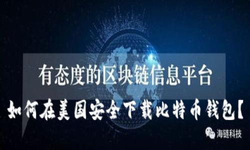 如何在美国安全下载比特币钱包？