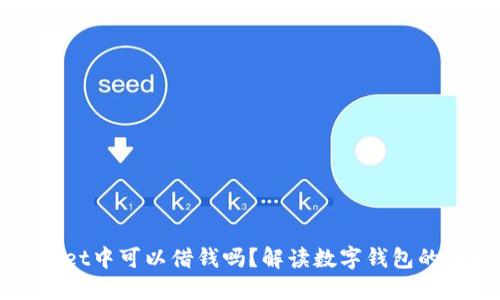 在TPWallet中可以借钱吗？解读数字钱包的借贷功能