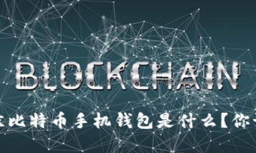2023年最佳比特币手机钱包是什么？你该如何选择？